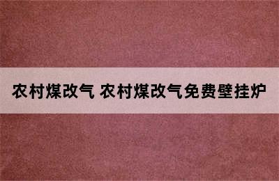 农村煤改气 农村煤改气免费壁挂炉